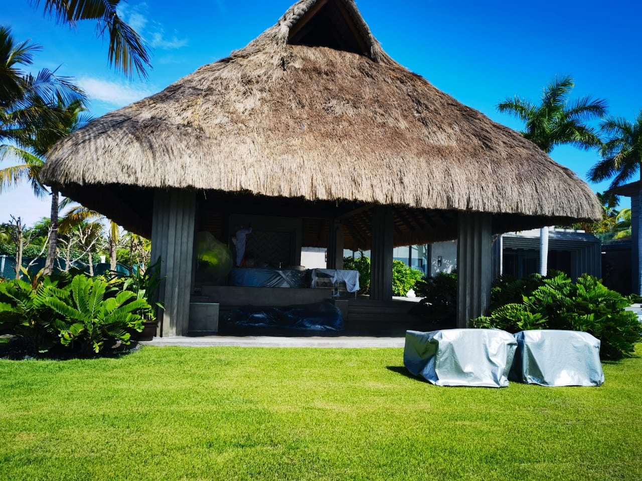 Palapa